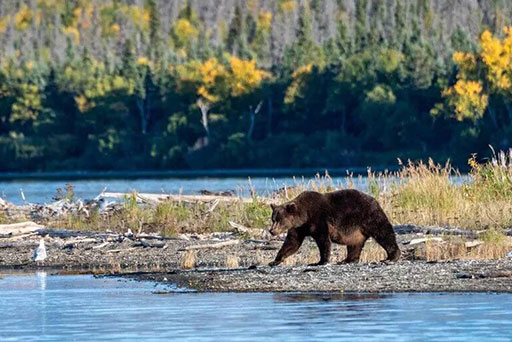 The Least-Visited National Parks