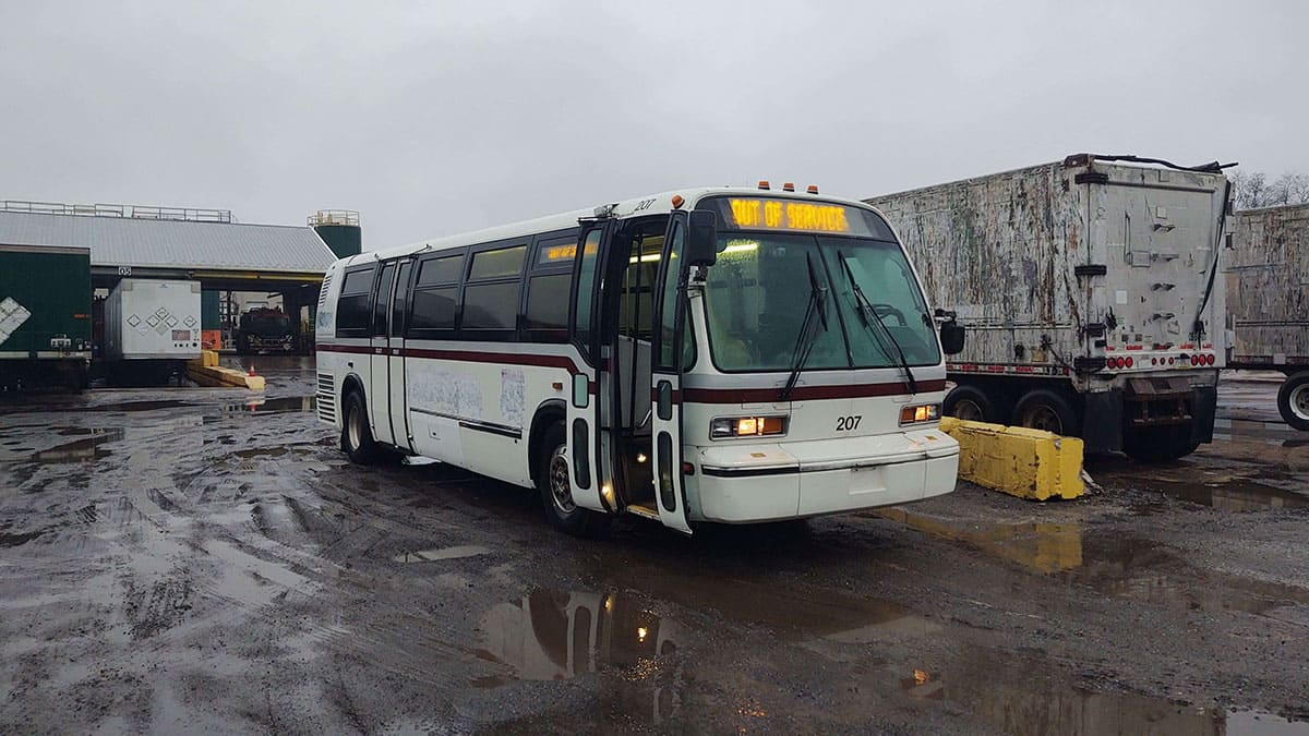 After just being unloaded off of the truck from Texas to Pennsylvania.