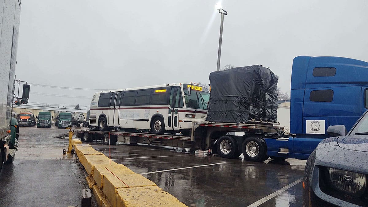 Just arrived from Texas.