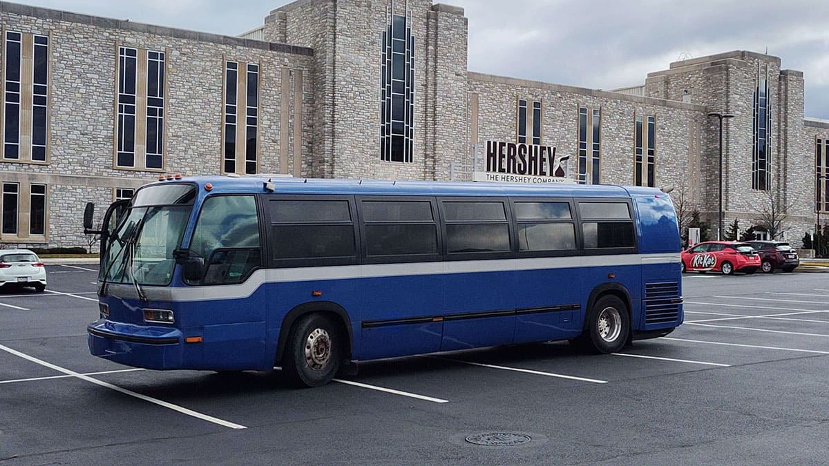 Profile shot when finished.