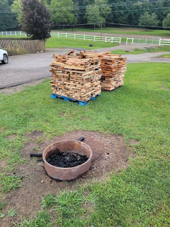 Two pallets of firewood at the start of the rally.