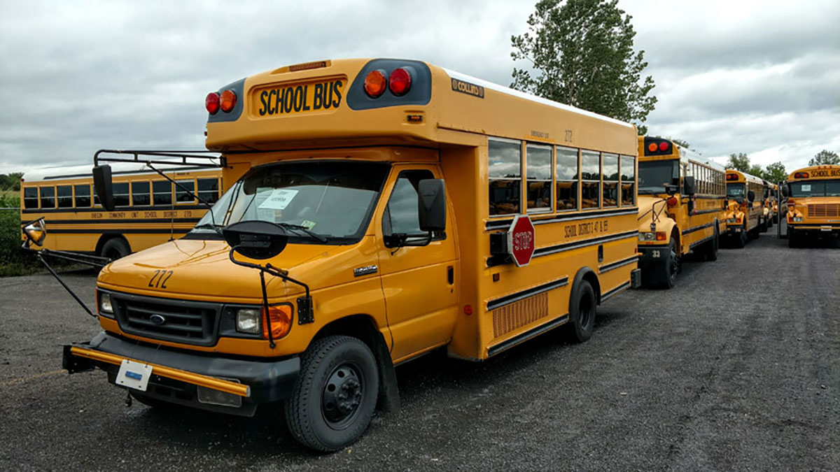 School buses for sale, ready for their new owners to breathe new life into them.
