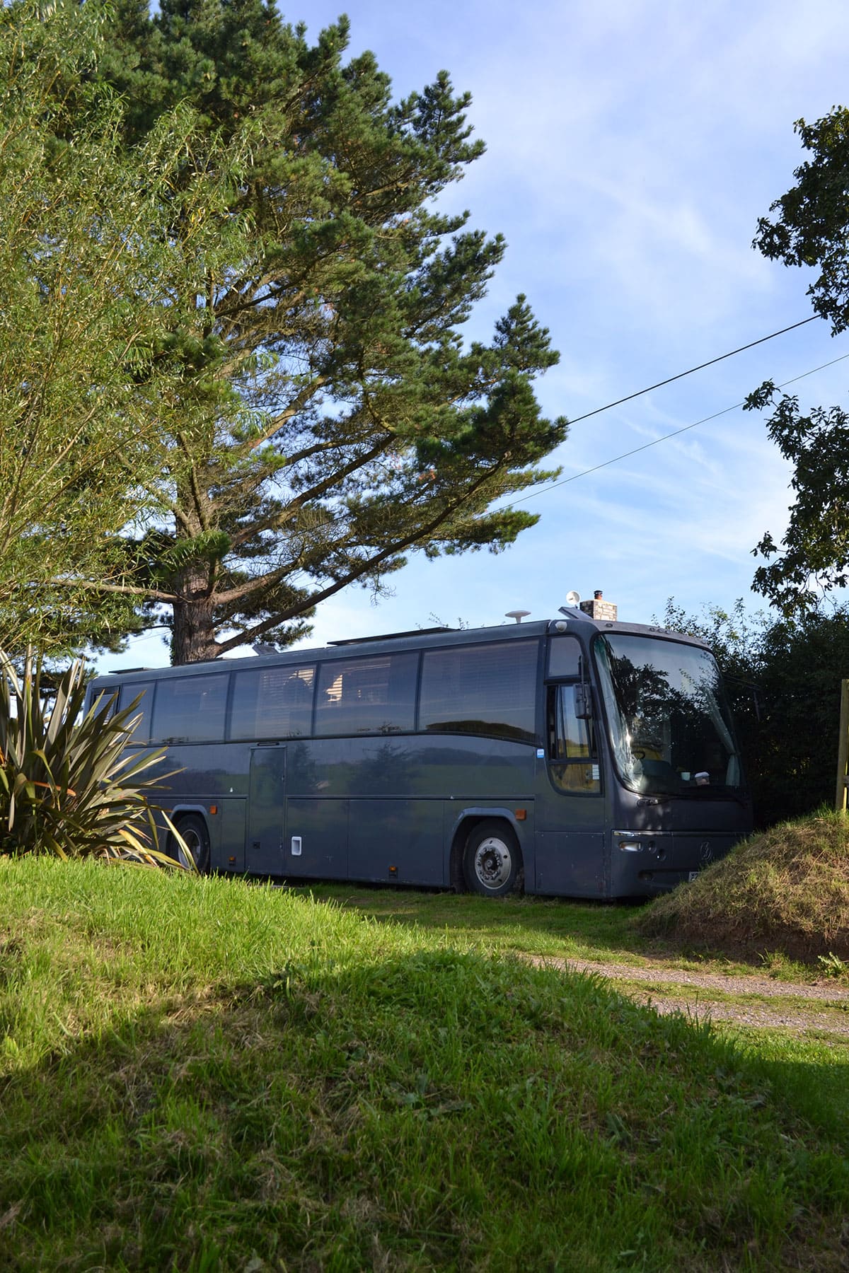 Hiding beneath the tree and hedge.