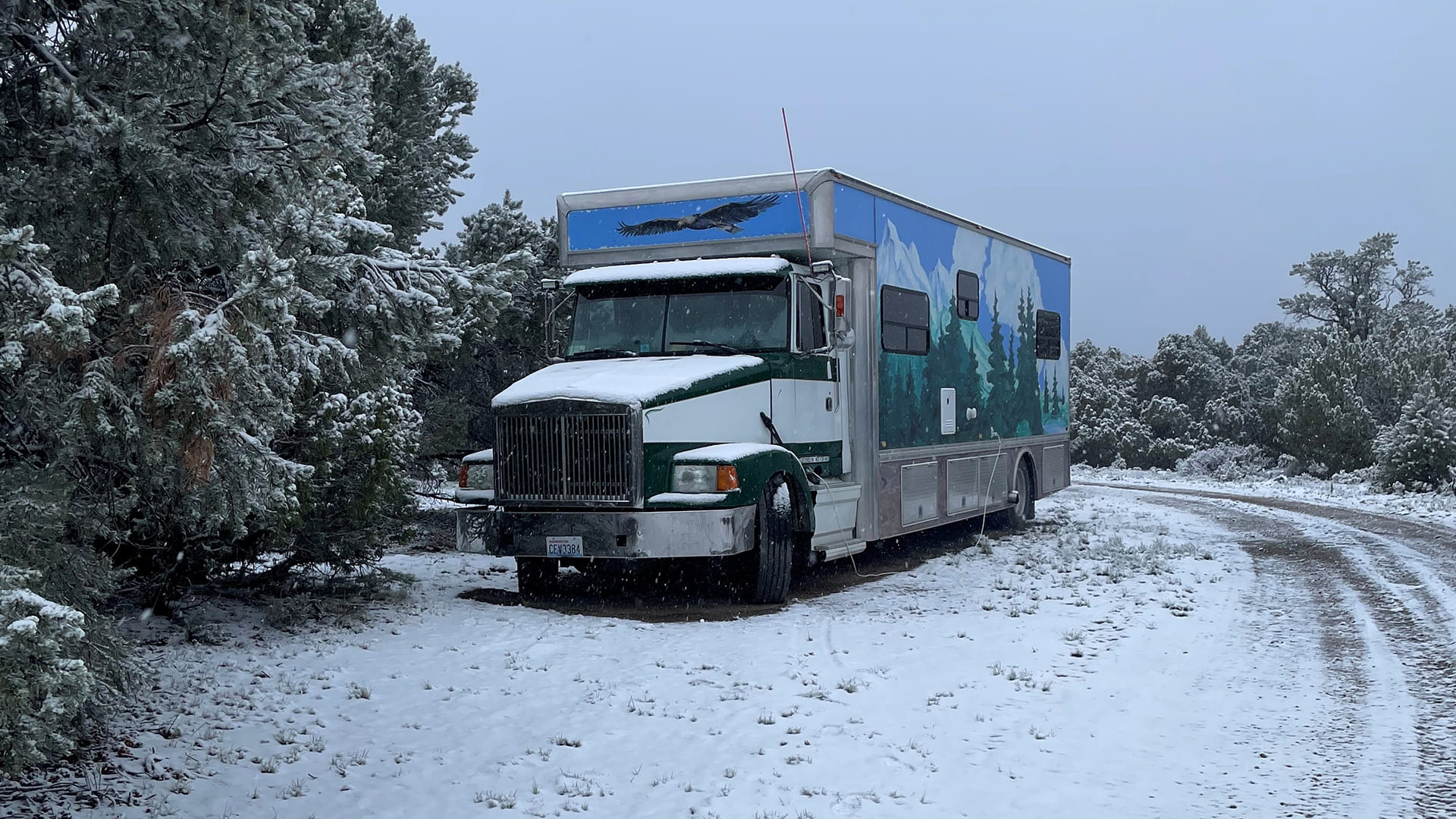 Helga in the snow.