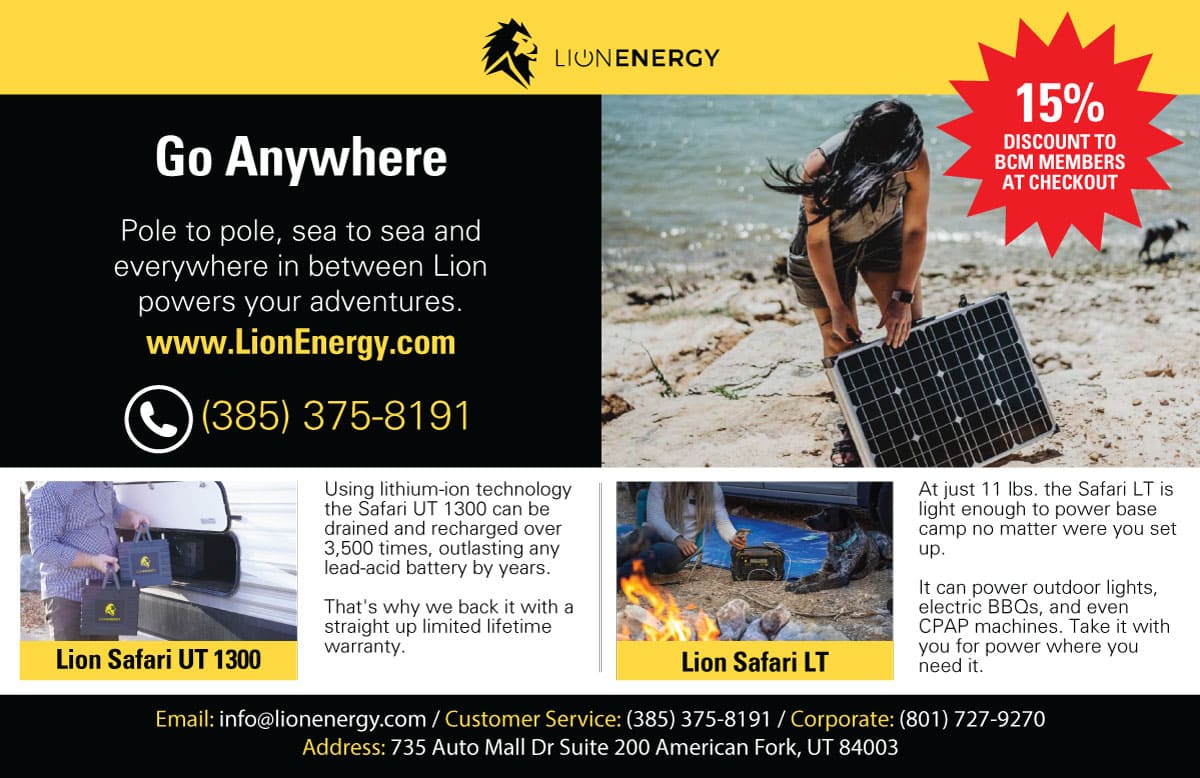 Lion-Energy-1_2-Page-Ad