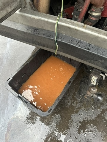 Reddish brown flush Reddish brown flush