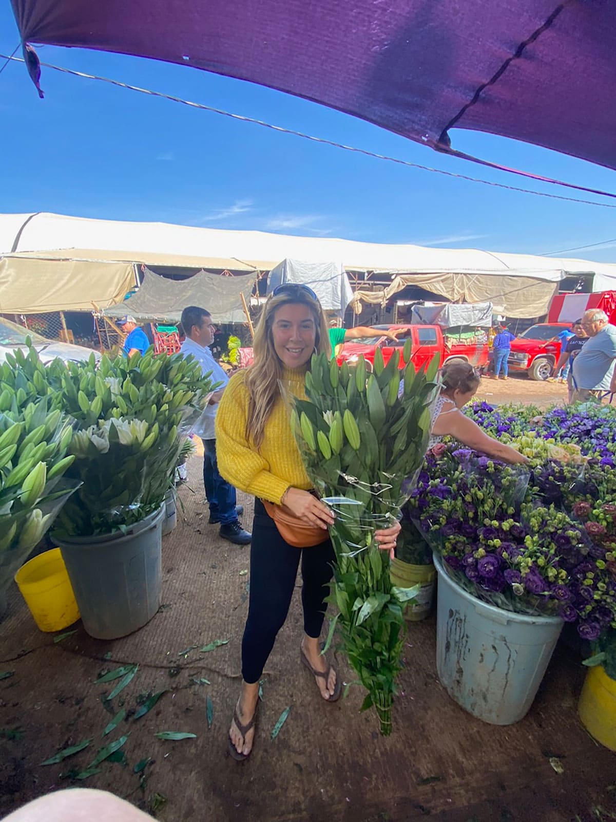 Guerrero, Mexico, is one of the biggest flower markets in Central America.