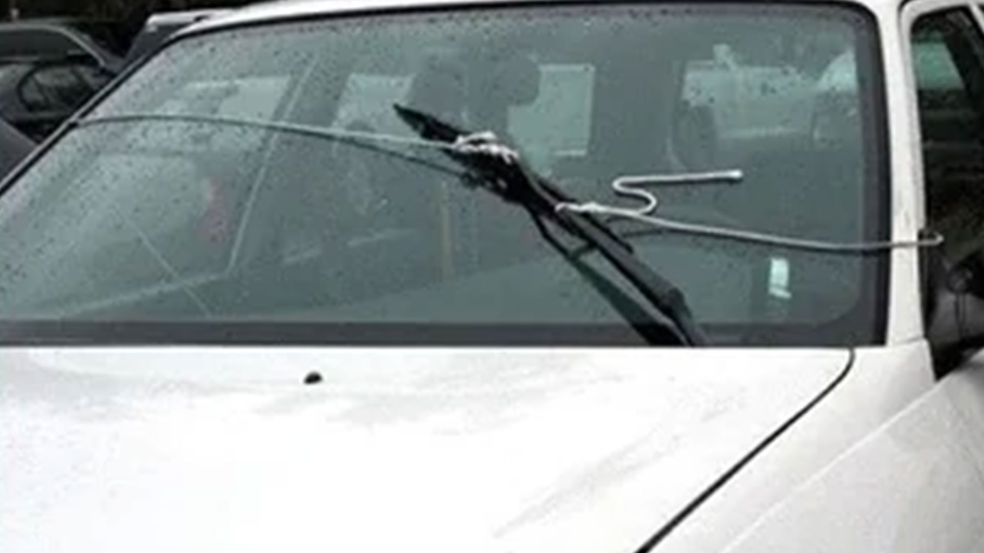 iziQ8PSyEZTECtSNDLa5pZYApCyoYZWH1UlW_ZTU0uY